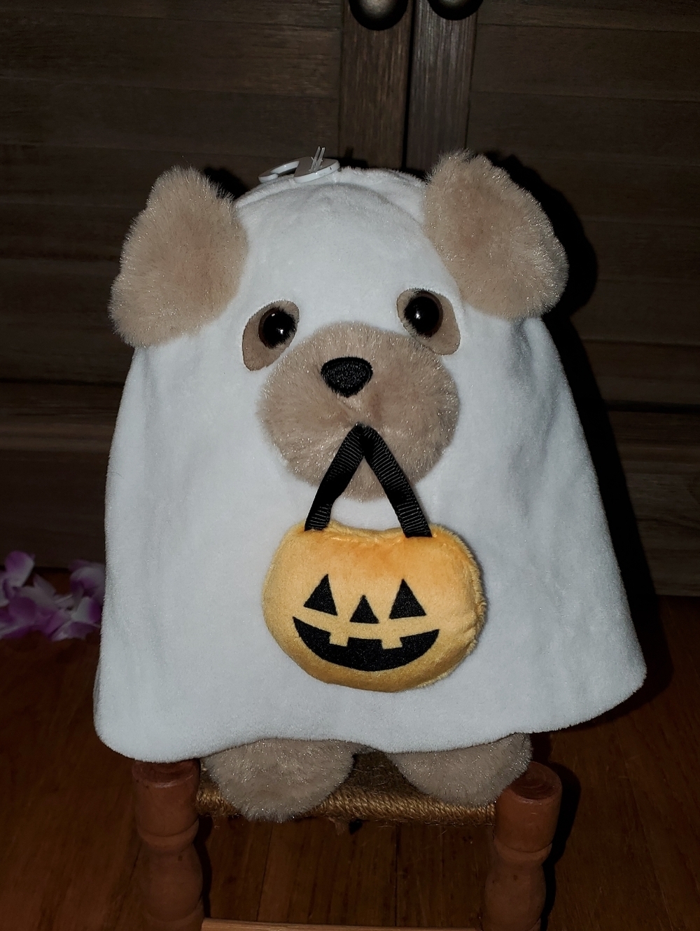 American Greetings Dog In Ghost Costume
